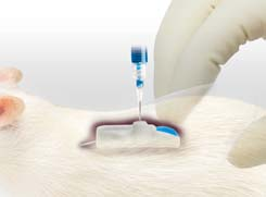 可编程微量注射泵iPRECIO插图1 可编程微量注射泵iPRECIO插图1