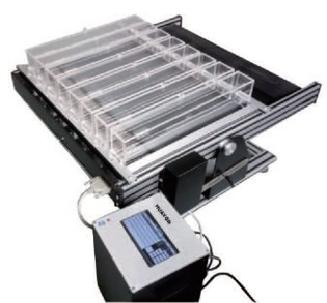 大小鼠跑台/跑步机插图 大小鼠跑台/跑步机插图