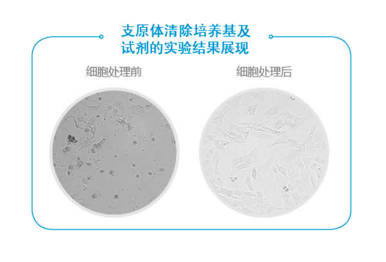 支原体清除培养基及试剂插图 支原体清除培养基及试剂插图
