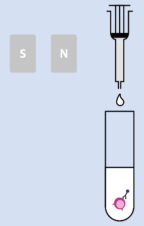细胞分选磁性细胞分选插图2 细胞分选磁性细胞分选插图2