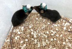 无线监测系统     插图