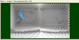 Anymaze行为学视频分析系统插图2 Anymaze行为学视频分析系统插图2