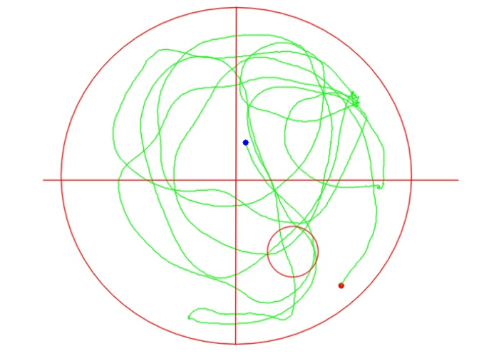 大小鼠水迷宫实验系统插图1