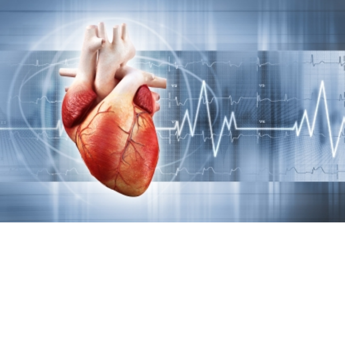 心血管疾病研究