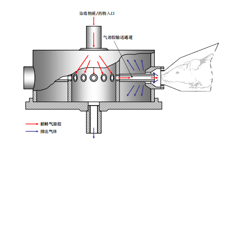 吸入式给药、暴露、染毒