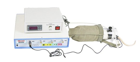 NIBP-6240 动物无创血压测量系统插图 NIBP-6240 动物无创血压测量系统插图